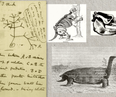 Darwin Journals